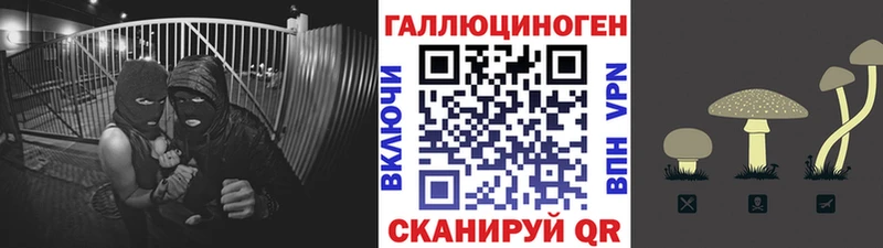МЕГА зеркало  Сухой Лог  Галлюциногенные грибы мухоморы  где купить  